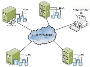 數(shù)據(jù)存儲(chǔ)基石 設(shè)備類型、系統(tǒng)架構(gòu)與服務(wù)支持全景解析